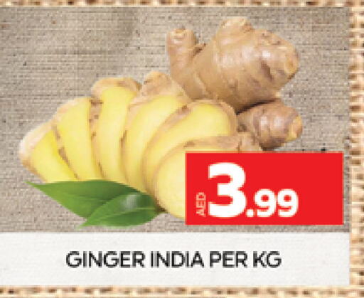 Ginger from India available at AL MADINA (Dubai) in UAE - Dubai