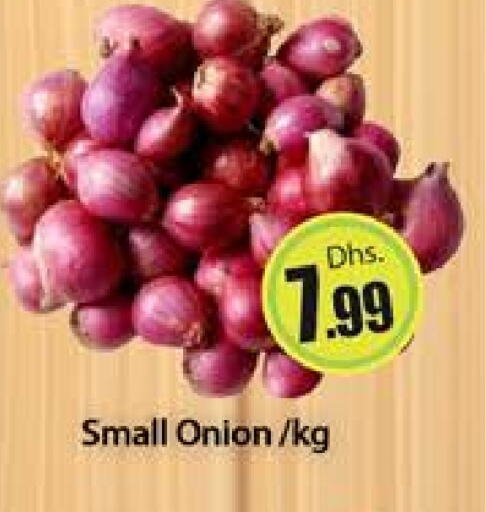 Onion available at Al Madina  in UAE - Dubai