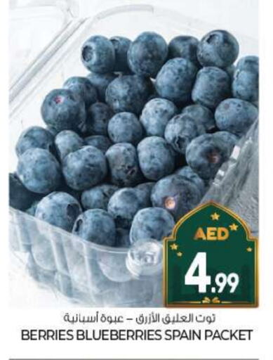 Berries from Spain available at BIGmart in UAE - Abu Dhabi