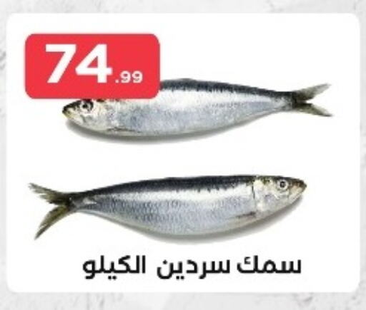 available at مارت فيل in Egypt - القاهرة