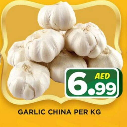 Garlic from China available at Ainas Al madina hypermarket in UAE - Sharjah / Ajman