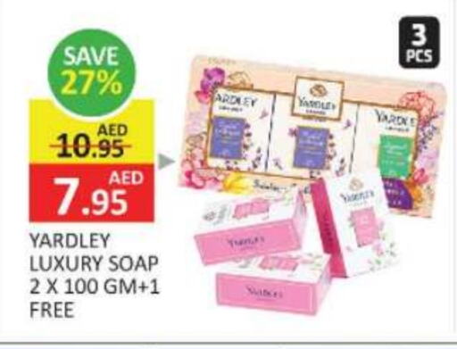 YARDLEY available at Mango Hypermarket LLC in UAE - Dubai