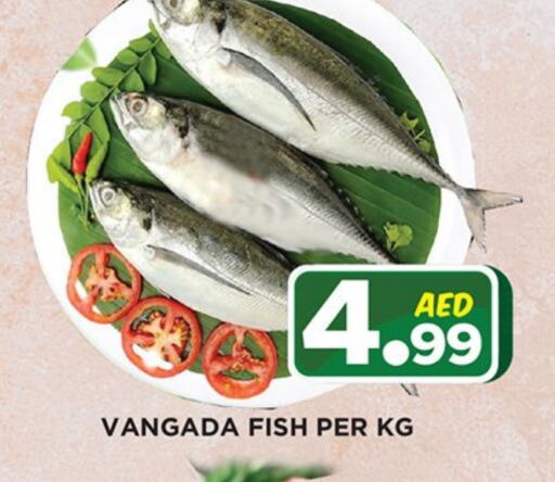 available at Ainas Al madina hypermarket in UAE - Sharjah / Ajman