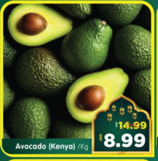 Avocado from Kenya available at هايبر ماركت المدينة in الإمارات العربية المتحدة , الامارات - أبو ظبي