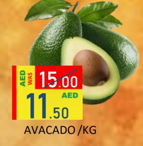 Avacado available at ROYAL GULF HYPERMARKET LLC in UAE - Abu Dhabi