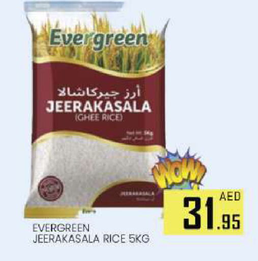 Jeerakasala Rice available at AL MADINA (Dubai) in UAE - Dubai