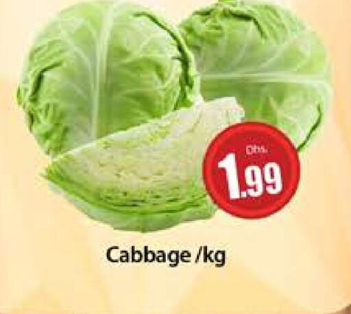 Cabbage available at Al Madina  in UAE - Dubai