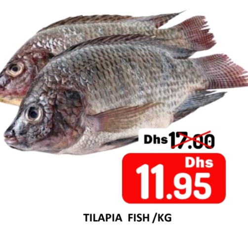 available at ROYAL GULF HYPERMARKET LLC in UAE - Abu Dhabi