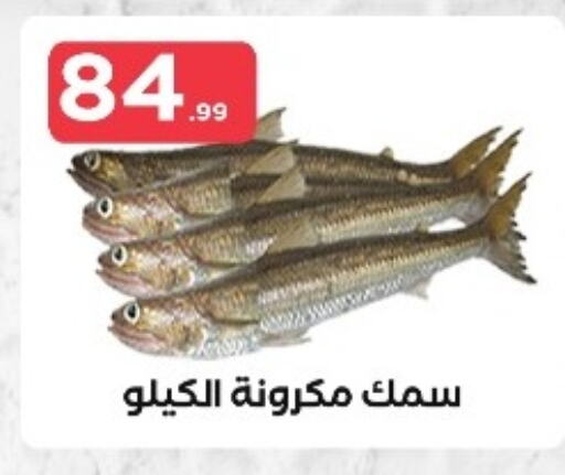 available at مارت فيل in Egypt - القاهرة