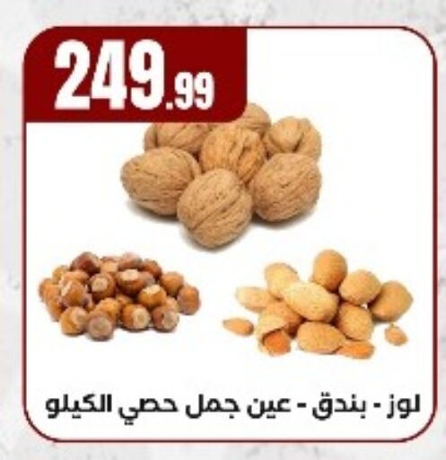 available at المحلاوي ستورز in Egypt - القاهرة