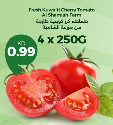 طماطم from Kuwait available at توصيل  in الكويت - مدينة الكويت