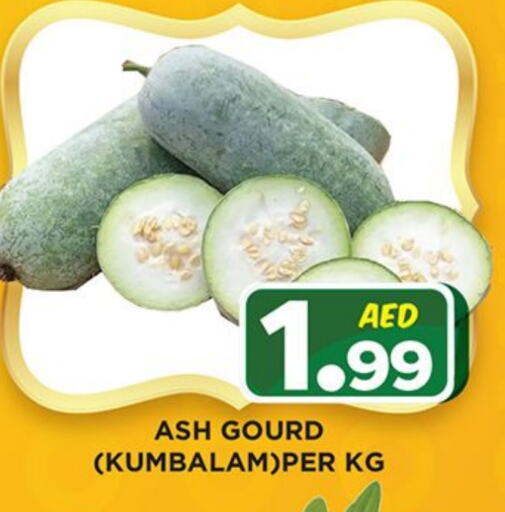 Gourd available at Ainas Al madina hypermarket in UAE - Sharjah / Ajman