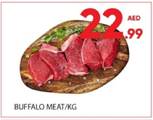 Buffalo available at Al Madina  in UAE - Dubai