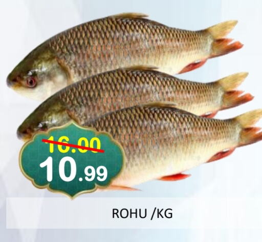 available at ROYAL GULF HYPERMARKET LLC in UAE - Abu Dhabi