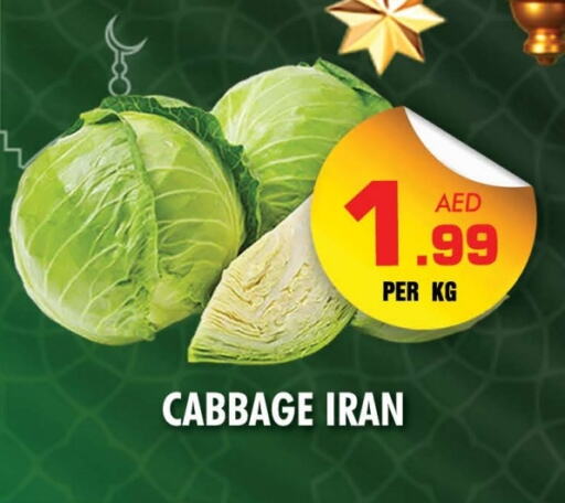 Cabbage from Iran available at NIGHT TO NIGHT DEPARTMENT STORE in UAE - Sharjah / Ajman