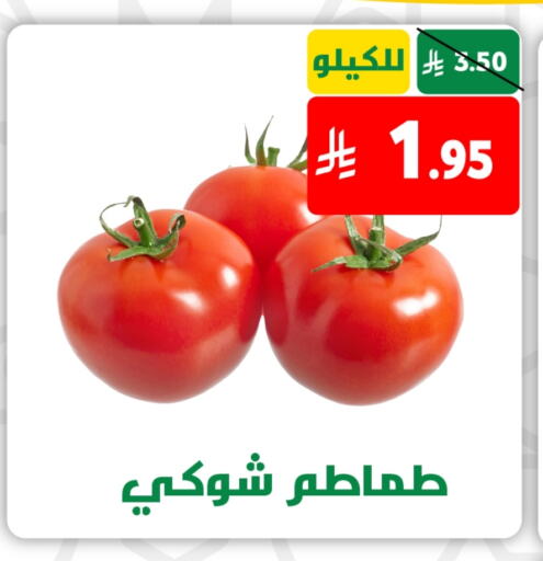 طماطم available at صالة العروض in مملكة العربية السعودية, السعودية, سعودية - خميس مشيط