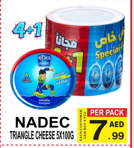 NADEC Triangle Cheese available at Gift Point in UAE - Dubai