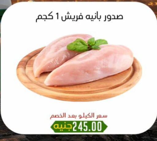 صدور دجاج available at خان الحسين in Egypt - القاهرة