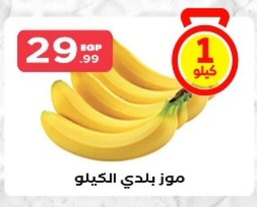 موز available at المحلاوي ستورز in Egypt - القاهرة