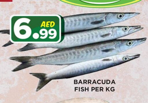 available at Ainas Al madina hypermarket in UAE - Sharjah / Ajman