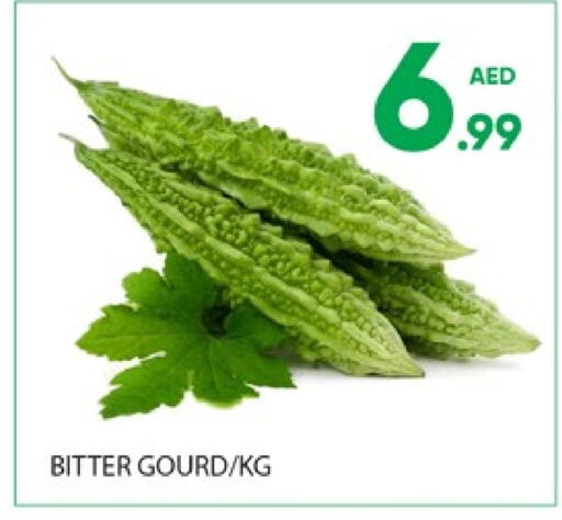 Gourd available at Al Madina  in UAE - Dubai