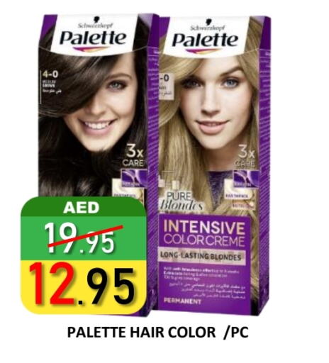 Hair Colour available at ROYAL GULF HYPERMARKET LLC in UAE - Abu Dhabi