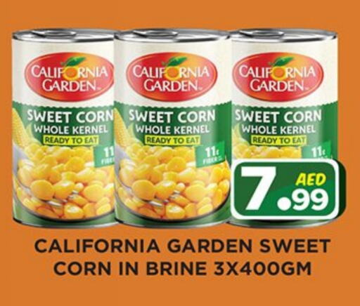 CALIFORNIA GARDEN available at Ainas Al madina hypermarket in UAE - Sharjah / Ajman