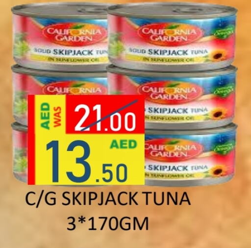 Tuna - Canned available at ROYAL GULF HYPERMARKET LLC in UAE - Abu Dhabi