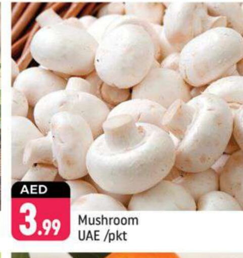 Mushroom available at Shaklan  in UAE - Dubai