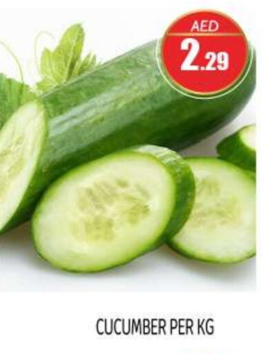 Cucumber available at بيج مارت in الإمارات العربية المتحدة , الامارات - أبو ظبي