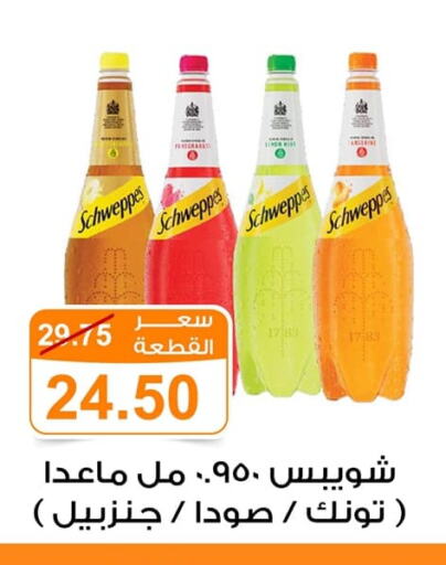 available at Gomla Market in Egypt - Cairo