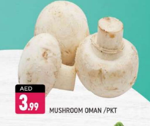 Mushroom from Oman available at Shaklan  in UAE - Dubai