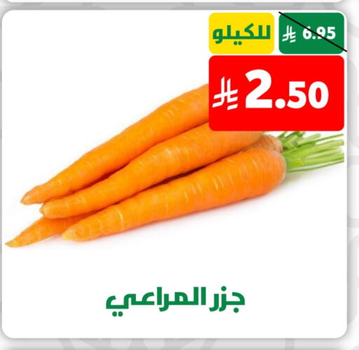 جزر available at صالة العروض in مملكة العربية السعودية, السعودية, سعودية - خميس مشيط