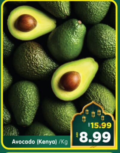 Avocado from Kenya available at هايبر ماركت المدينة in الإمارات العربية المتحدة , الامارات - أبو ظبي