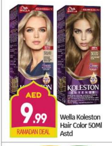 WELLA Hair Colour available at BIGmart in UAE - Abu Dhabi