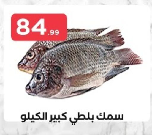 available at مارت فيل in Egypt - القاهرة