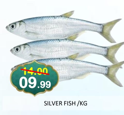 available at ROYAL GULF HYPERMARKET LLC in UAE - Abu Dhabi