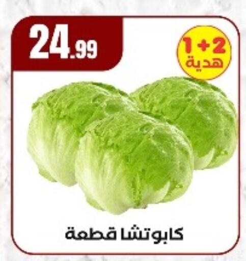 available at المحلاوي ستورز in Egypt - القاهرة