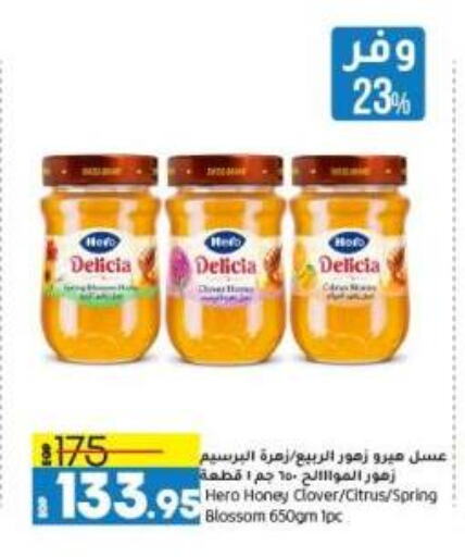 Honey available at Lulu Hypermarket  in Egypt - Cairo