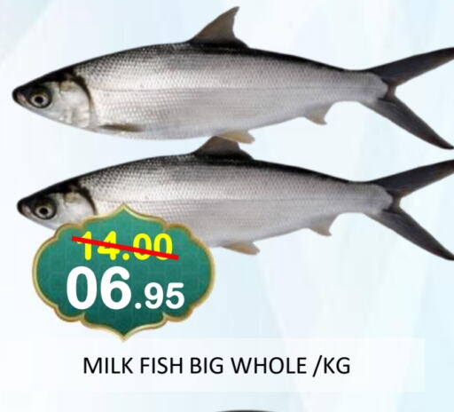 available at ROYAL GULF HYPERMARKET LLC in UAE - Abu Dhabi