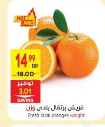 Orange available at El.Husseini supermarket  in Egypt - Cairo