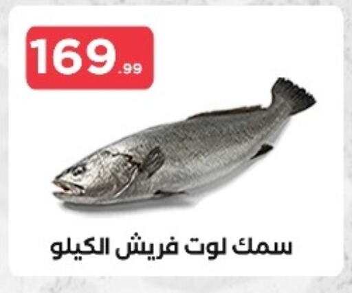 available at مارت فيل in Egypt - القاهرة