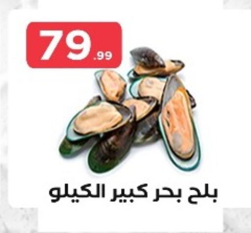 available at المحلاوي ستورز in Egypt - القاهرة