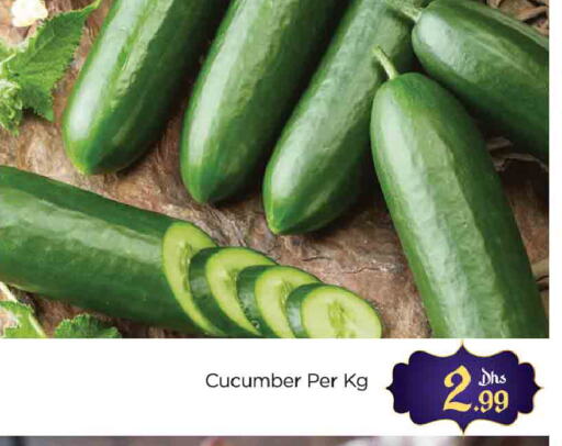 Cucumber available at AL MADINA (Dubai) in UAE - Dubai