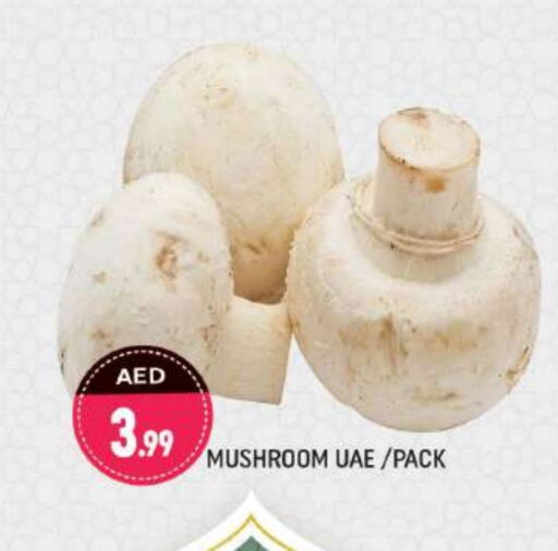 Mushroom available at Shaklan  in UAE - Dubai