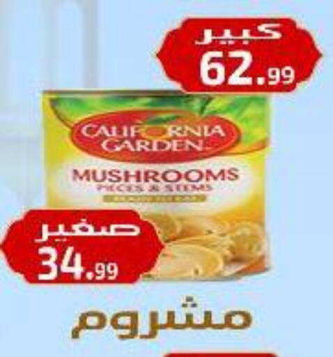 CALIFORNIA GARDEN available at Ehab Prince in Egypt - Cairo