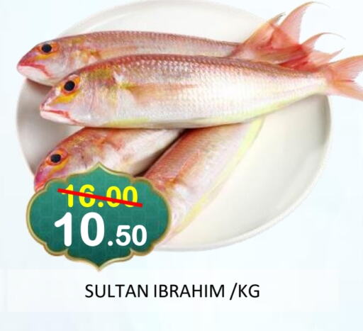 available at ROYAL GULF HYPERMARKET LLC in UAE - Abu Dhabi