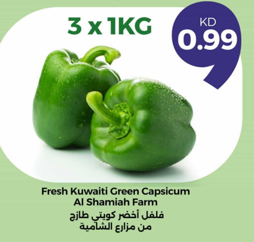 فلفل / فليفلة from Kuwait available at توصيل  in الكويت - مدينة الكويت