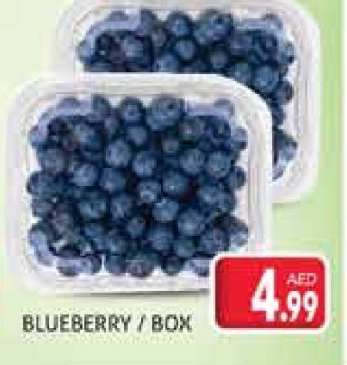 Blueberry BlueBerry available at مركز النخيل هايبرماركت in الإمارات العربية المتحدة , الامارات - الشارقة / عجمان