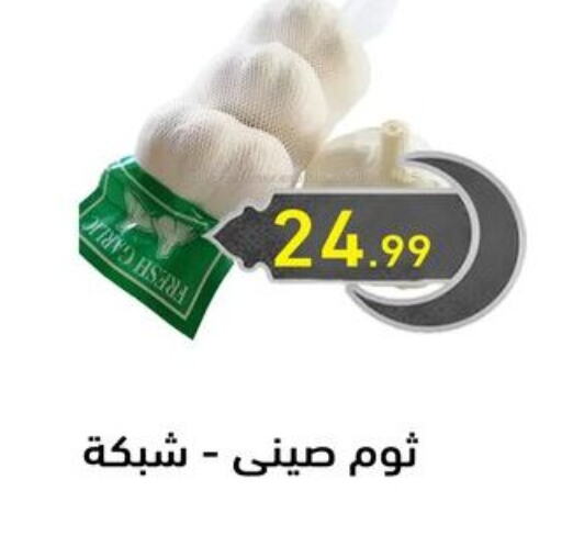 Garlic available at El mhallawy Sons in Egypt - Cairo